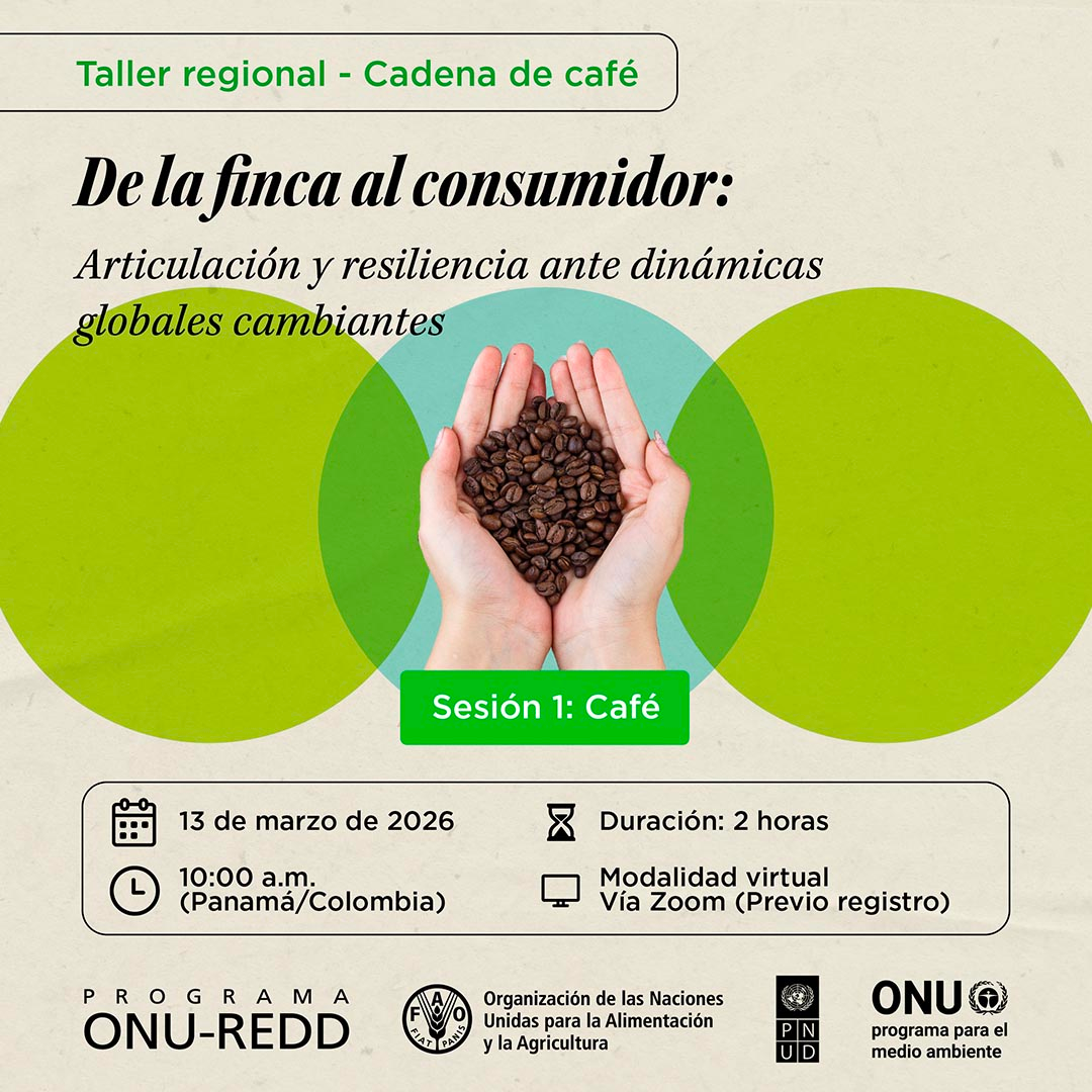 Ecuador comparte su experiencia en café sostenible libre de deforestación en taller regional de ONU-REDD