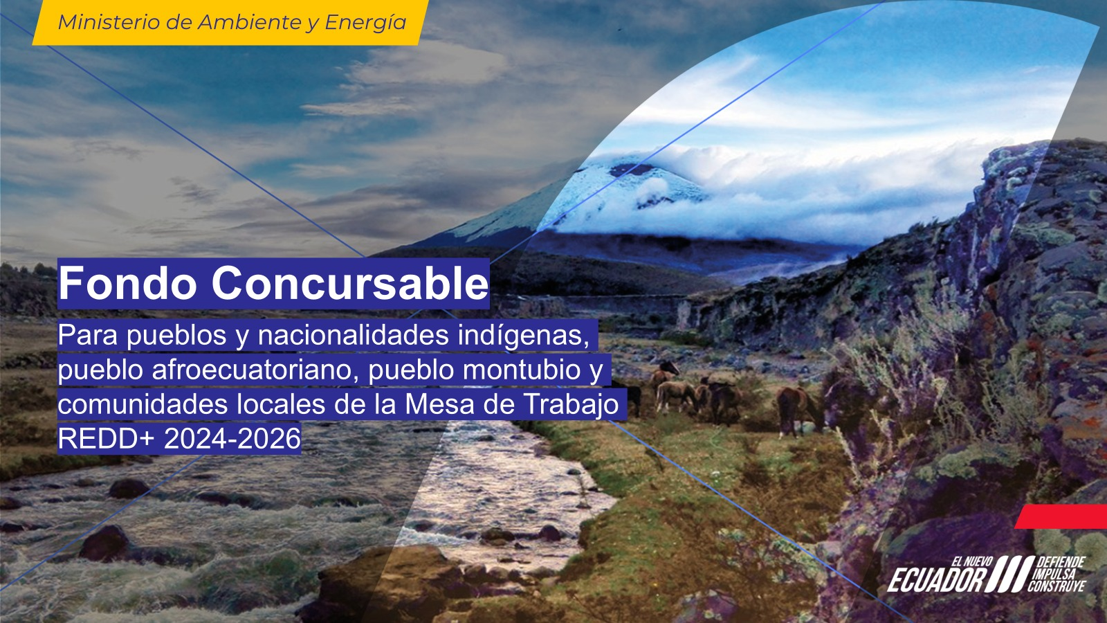 Mesa de Trabajo REDD+ impulsa nueva convocatoria de fondos concursables para fortalecer la gestión territorial y la acción climática