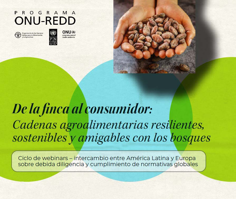 Ecuador fortalece su liderazgo en cacao sostenible en intercambio regional de ONU-REDD